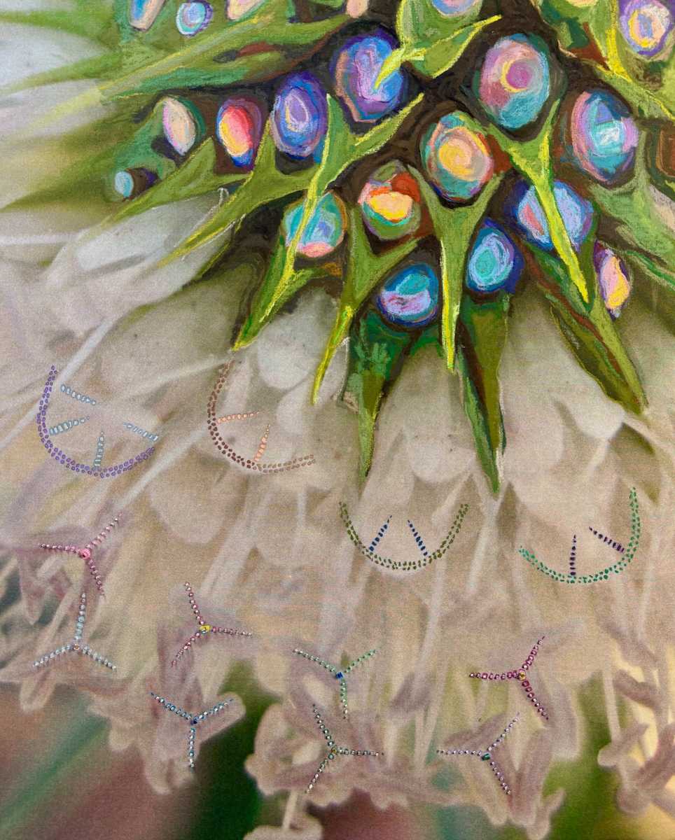 Dipsacus by Kathy Mitchell-Garton, Image 1.
