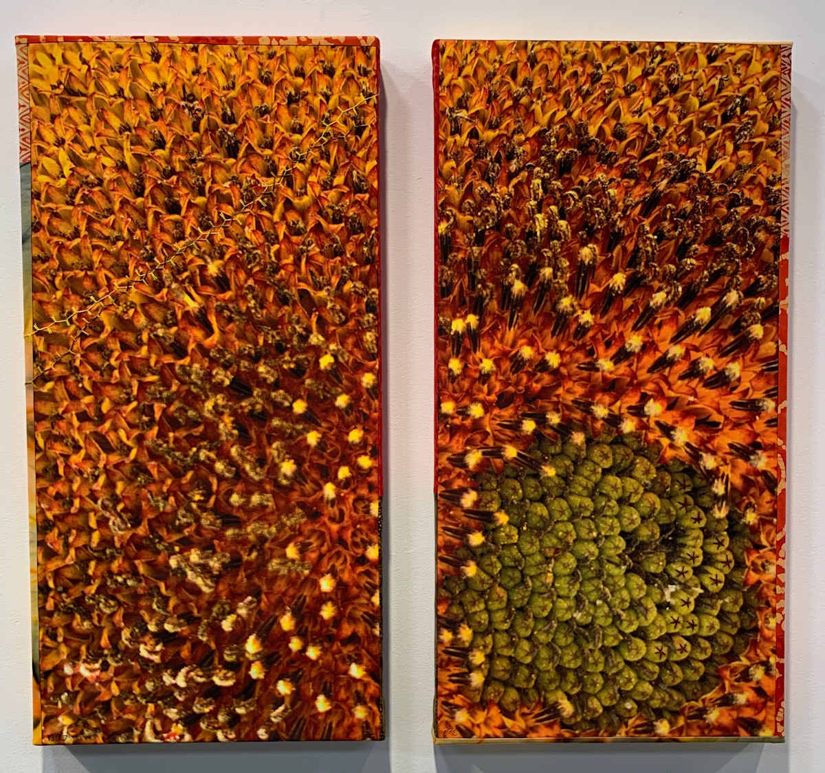 Green  Seeds by Kathy Mitchell-Garton, Image 1.