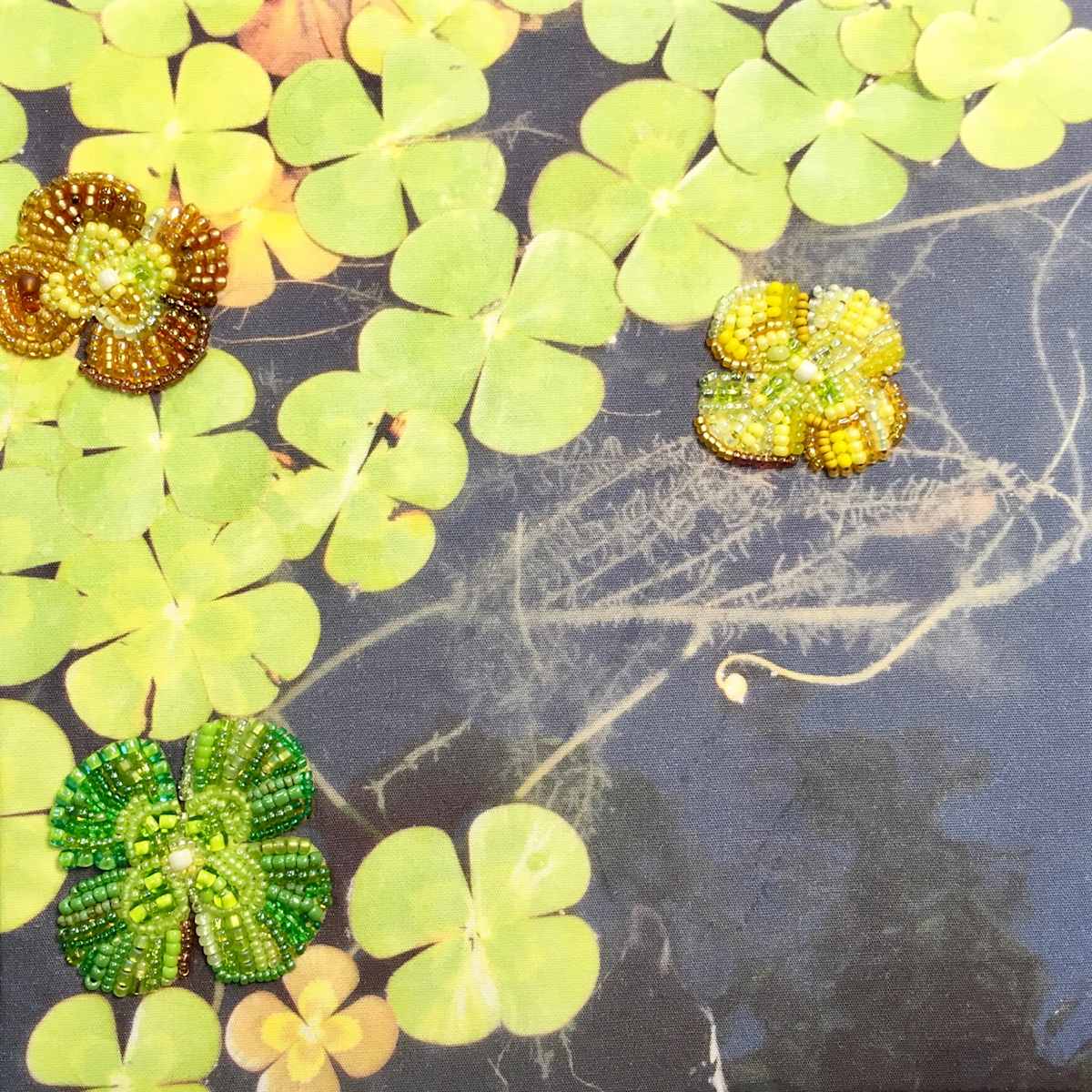 Water Clover by Kathy Mitchell-Garton, Image 1.