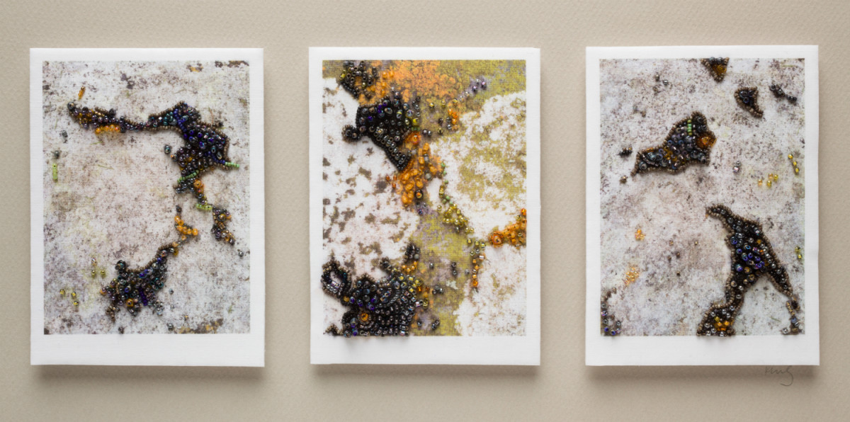 Triptych: Lichen by Kathy Mitchell-Garton 