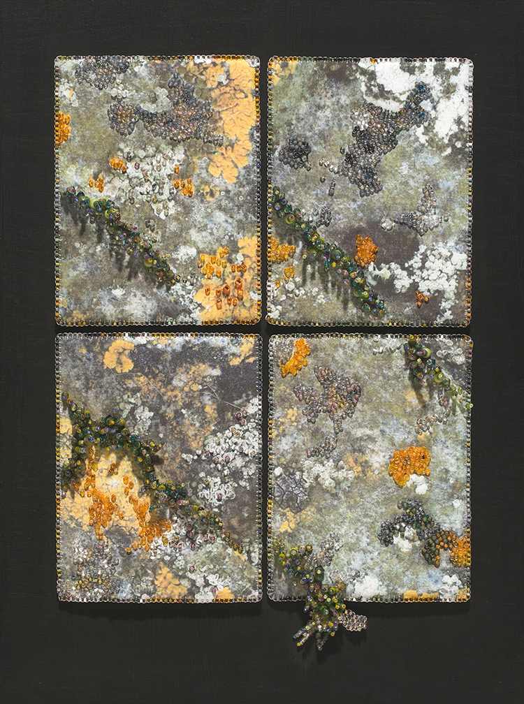 Lichen on Gravestone, Ireland by Kathy Mitchell-Garton, Image 1.