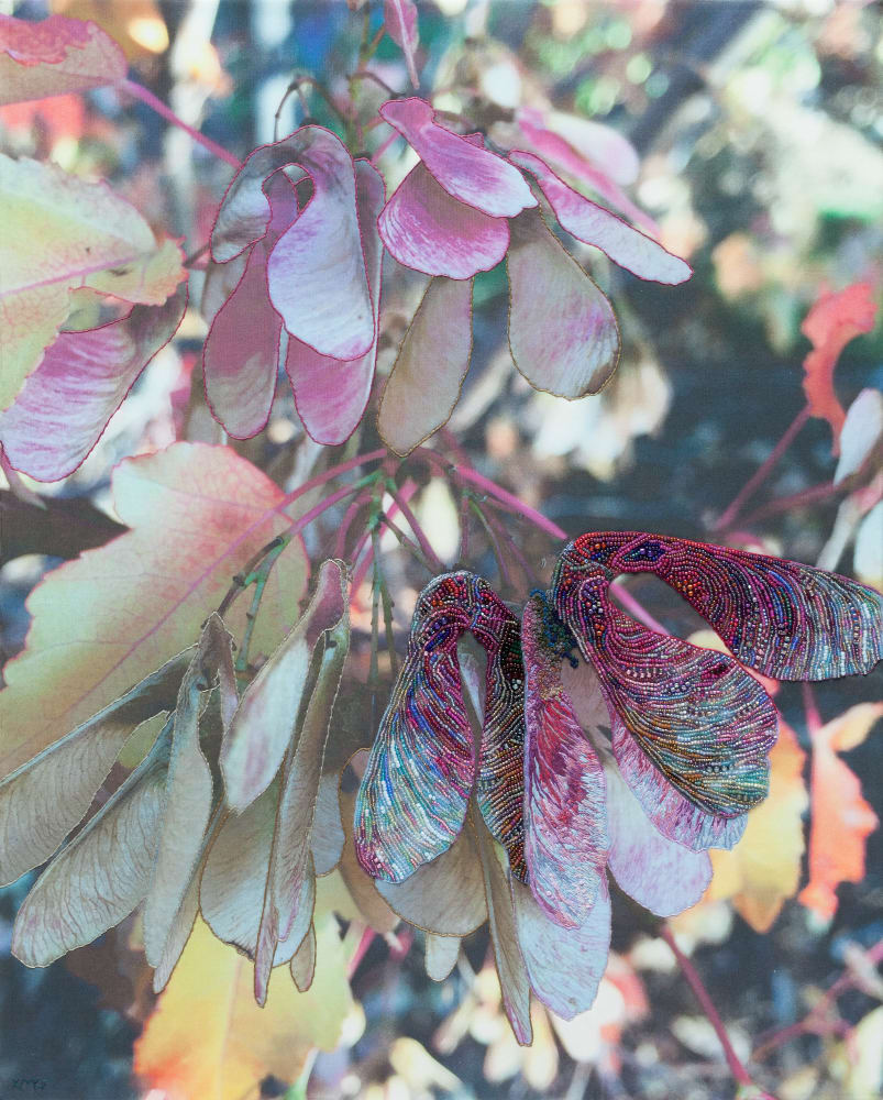 Maple by Kathy Mitchell-Garton, Image 1.