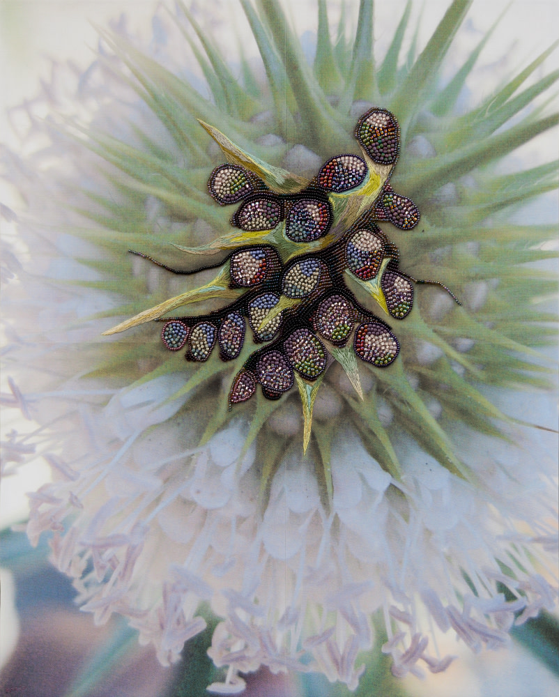 Teasel by Kathy Mitchell-Garton 