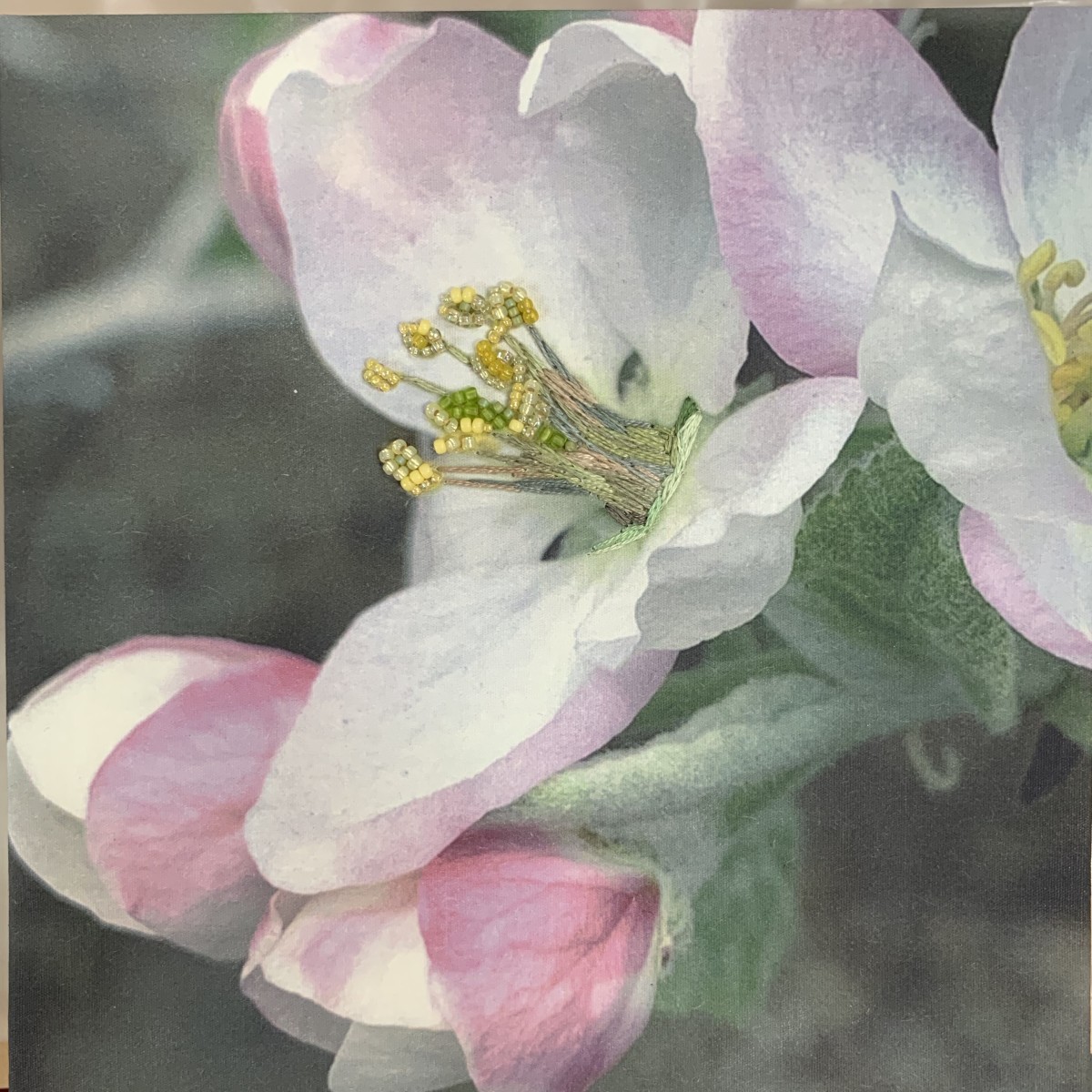 Apple Blossom by Kathy Mitchell-Garton 