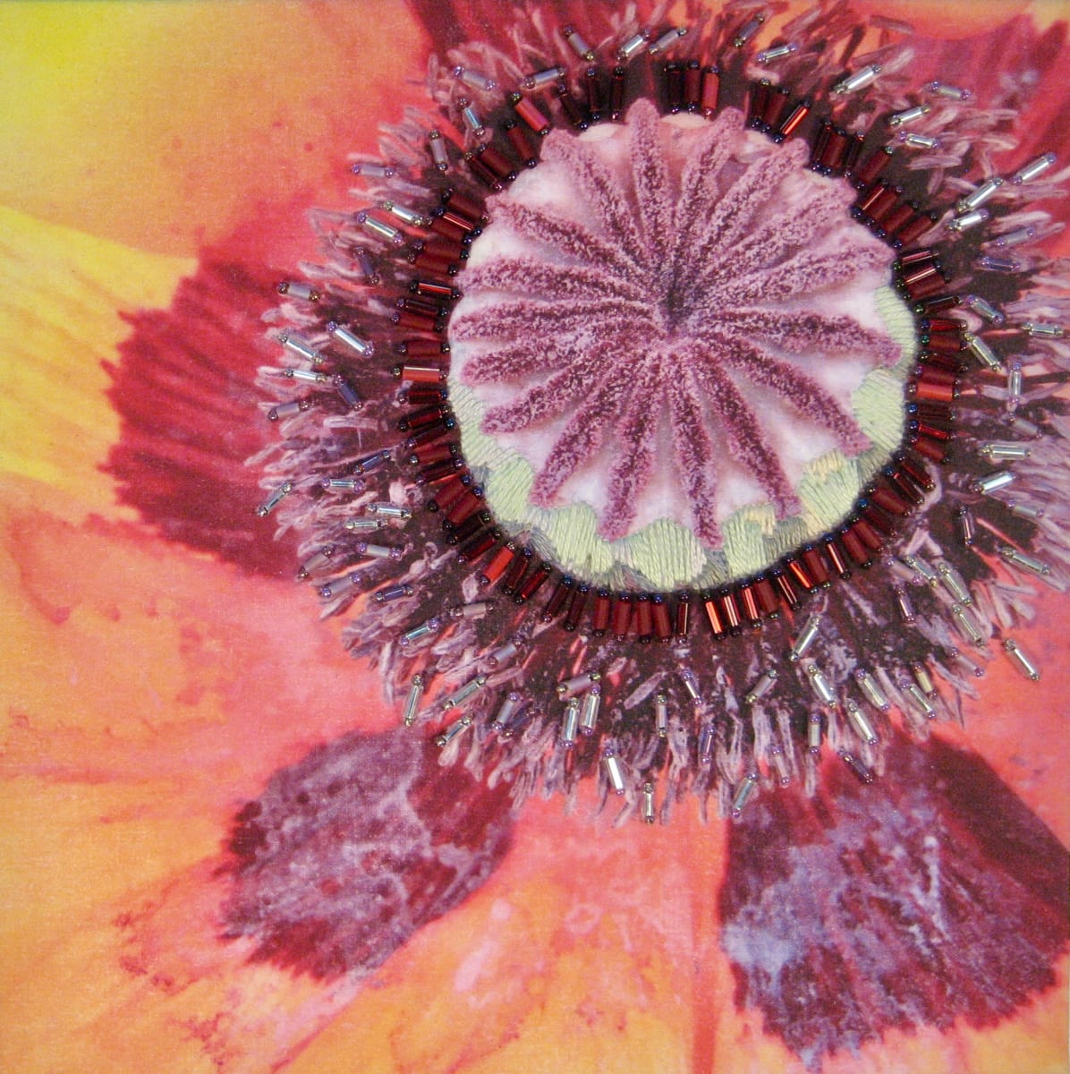 Poppy by Kathy Mitchell-Garton 