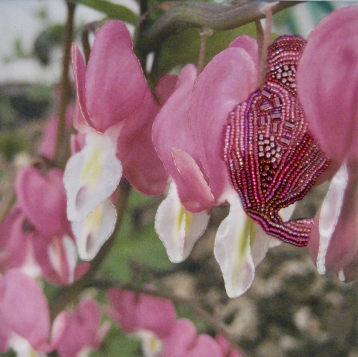 Bleeding Heart Blooms by Kathy Mitchell-Garton 