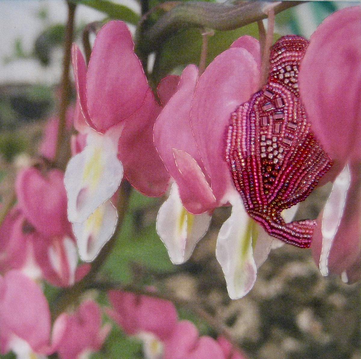 Bleeding Heart Blooms by Kathy Mitchell-Garton, Image 1.