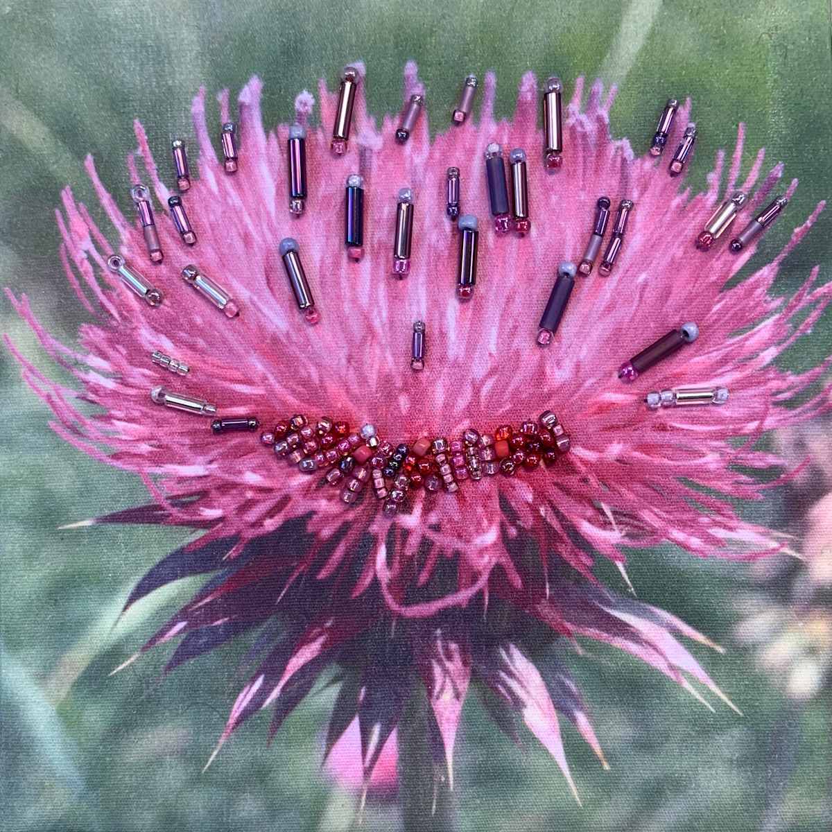 Pink Thistle by Kathy Mitchell-Garton, Image 1.