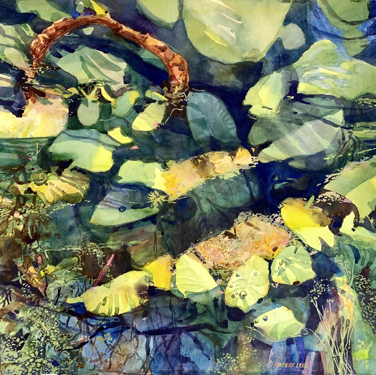 "Lily Ray" by Robert H. Leedy, Image 1.