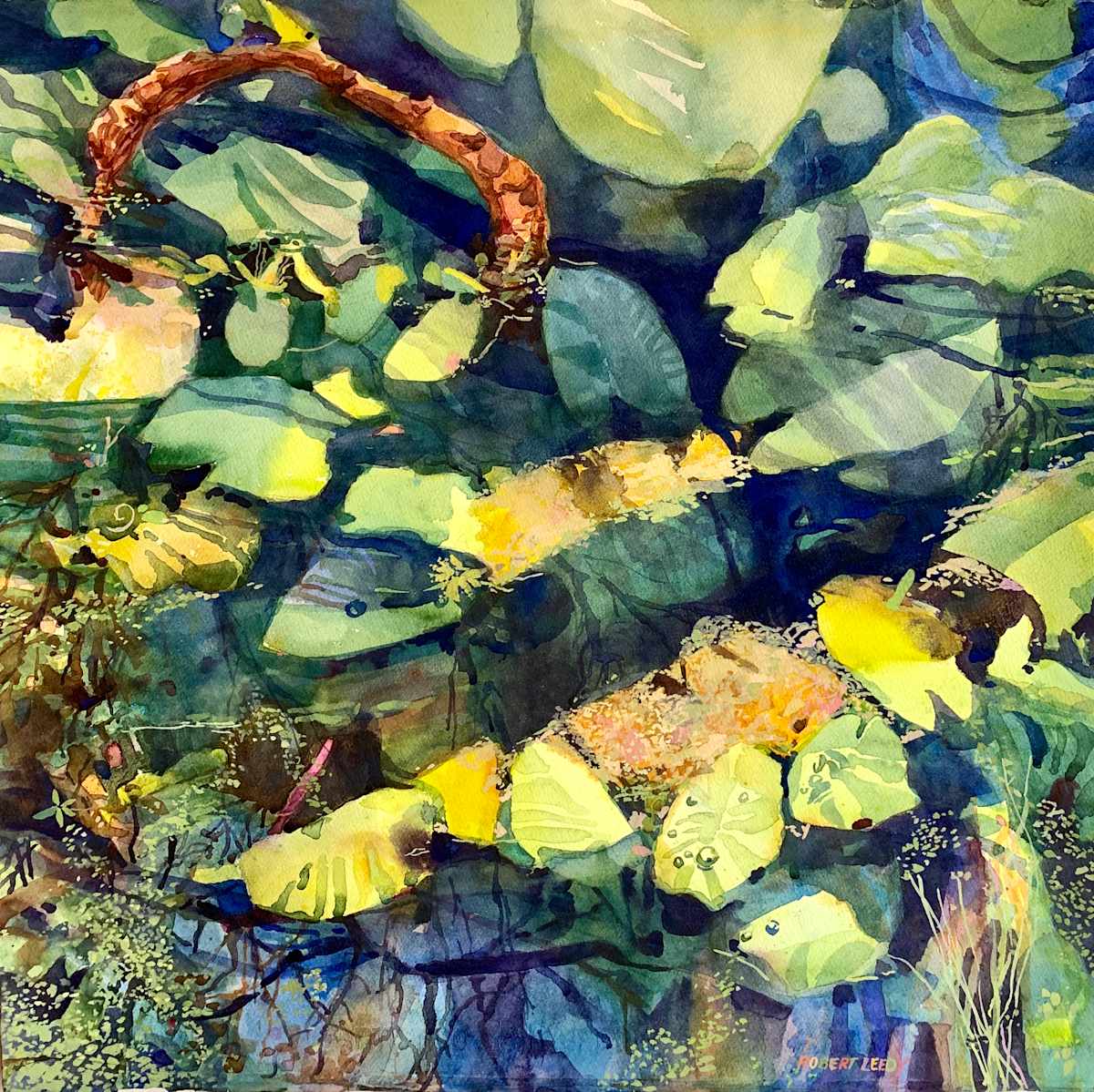 "Lily Ray" by Robert H. Leedy, Image 1.