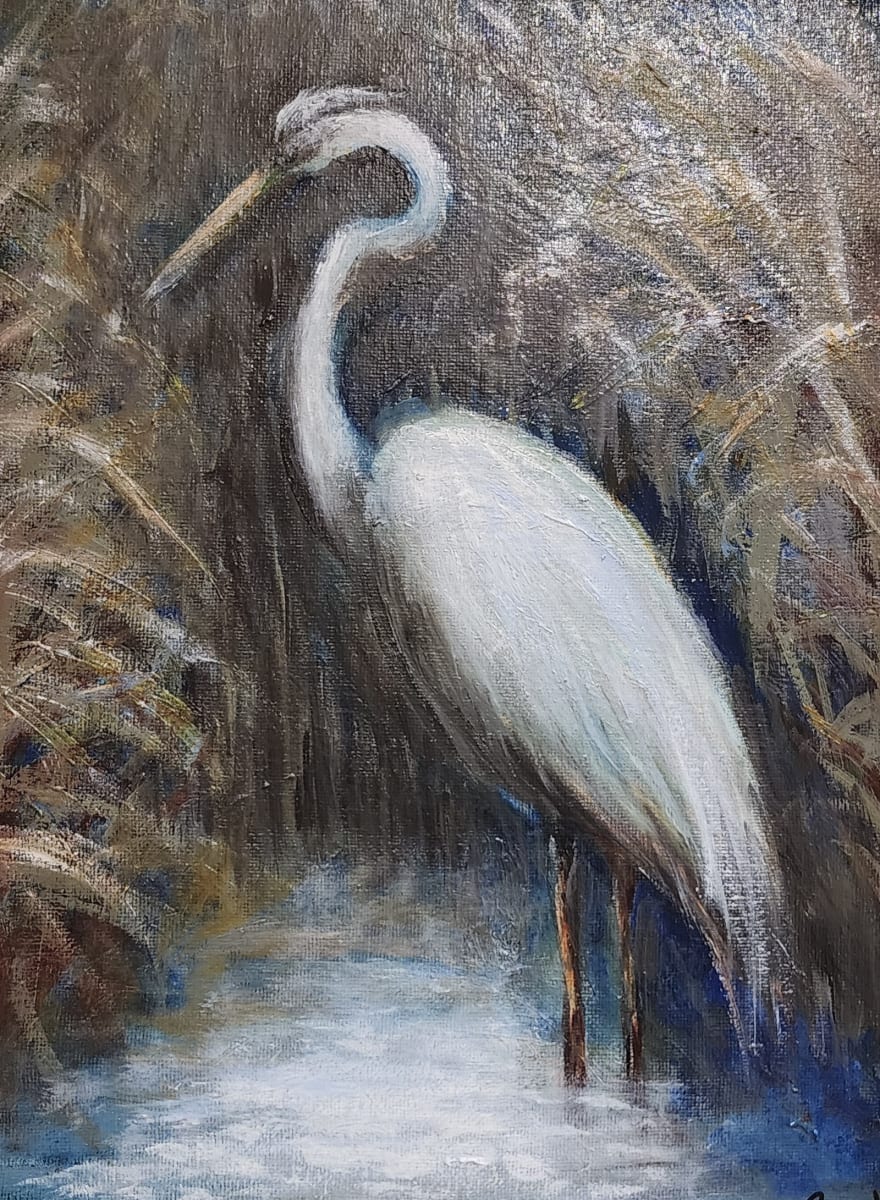 Peaceful Egret by Susan Bryant  Image: Stillness and Serenity
