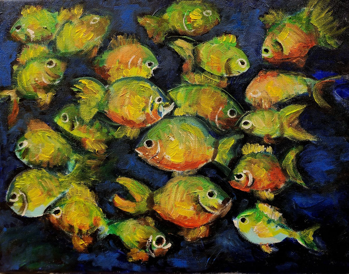 Vibrant Little Fish by Susan Bryant  Image: A vibrant school of happy little fish