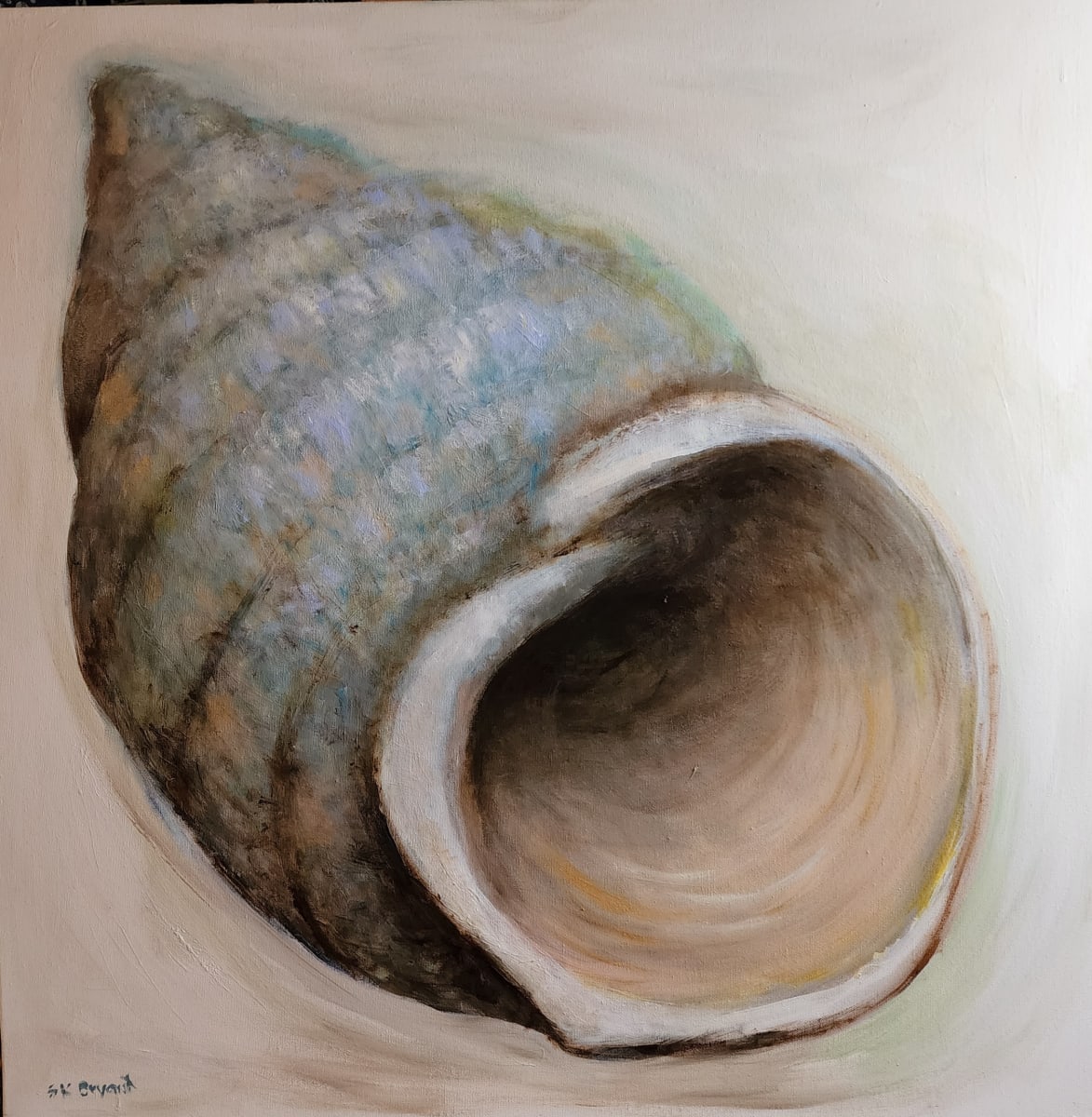 Shell Mirage by Susan Bryant  Image: From my mother's shell collection