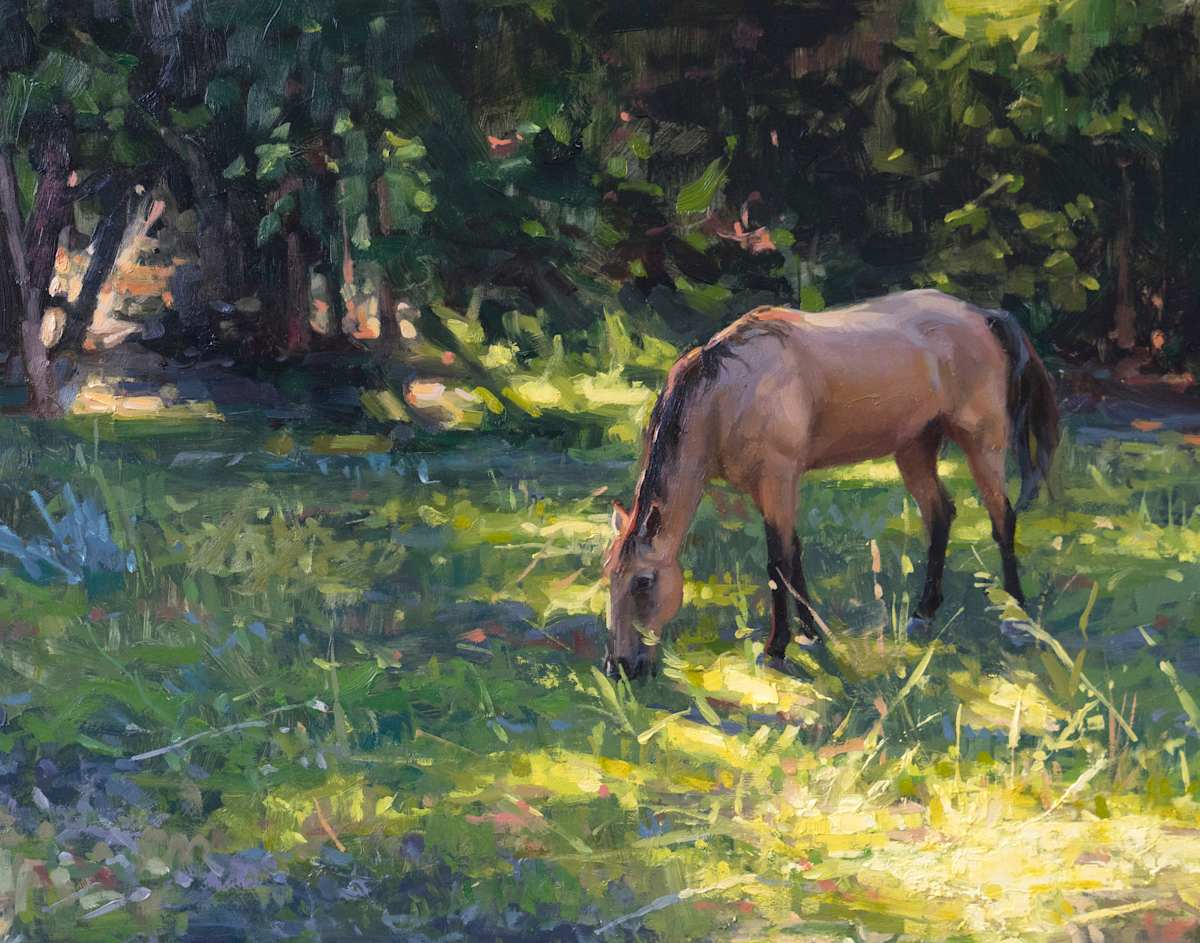 Afternoon by Robin Cole, Image 1.