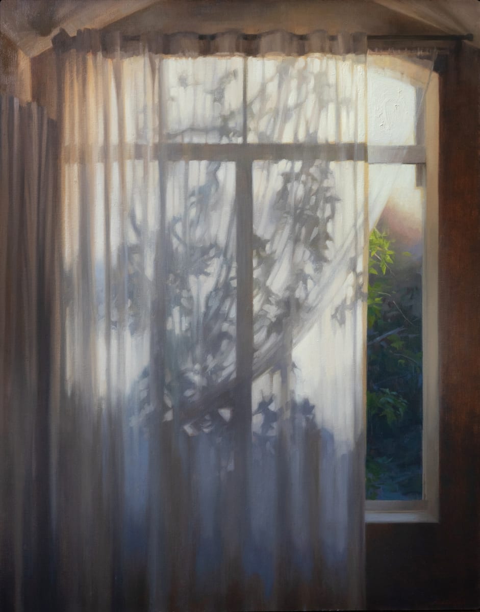 Beginnings by Robin Cole 