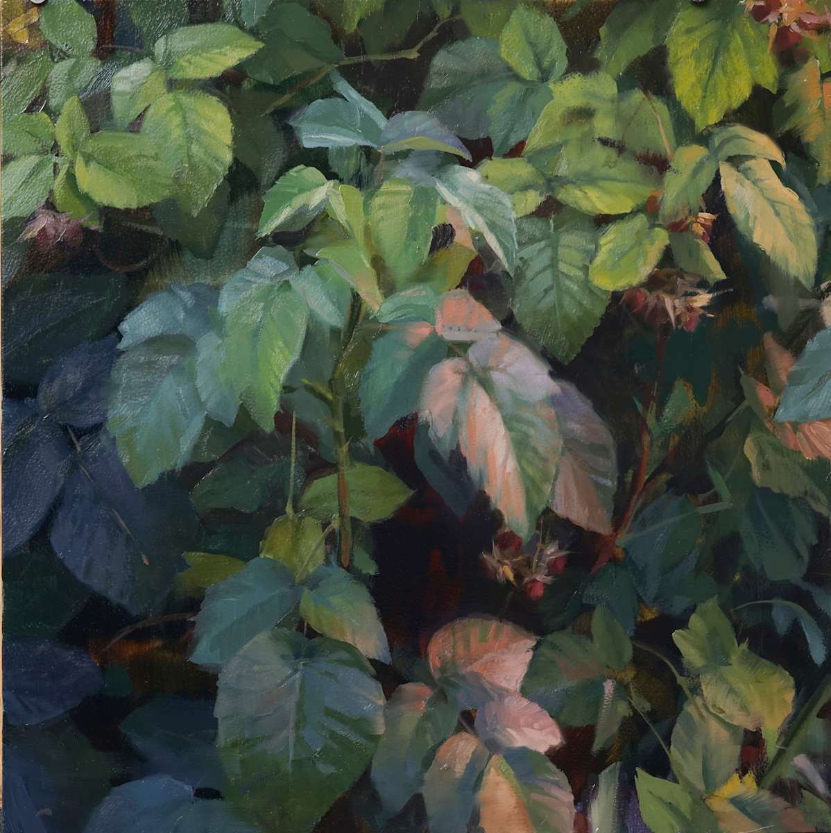 Bramble II, Image 1.
