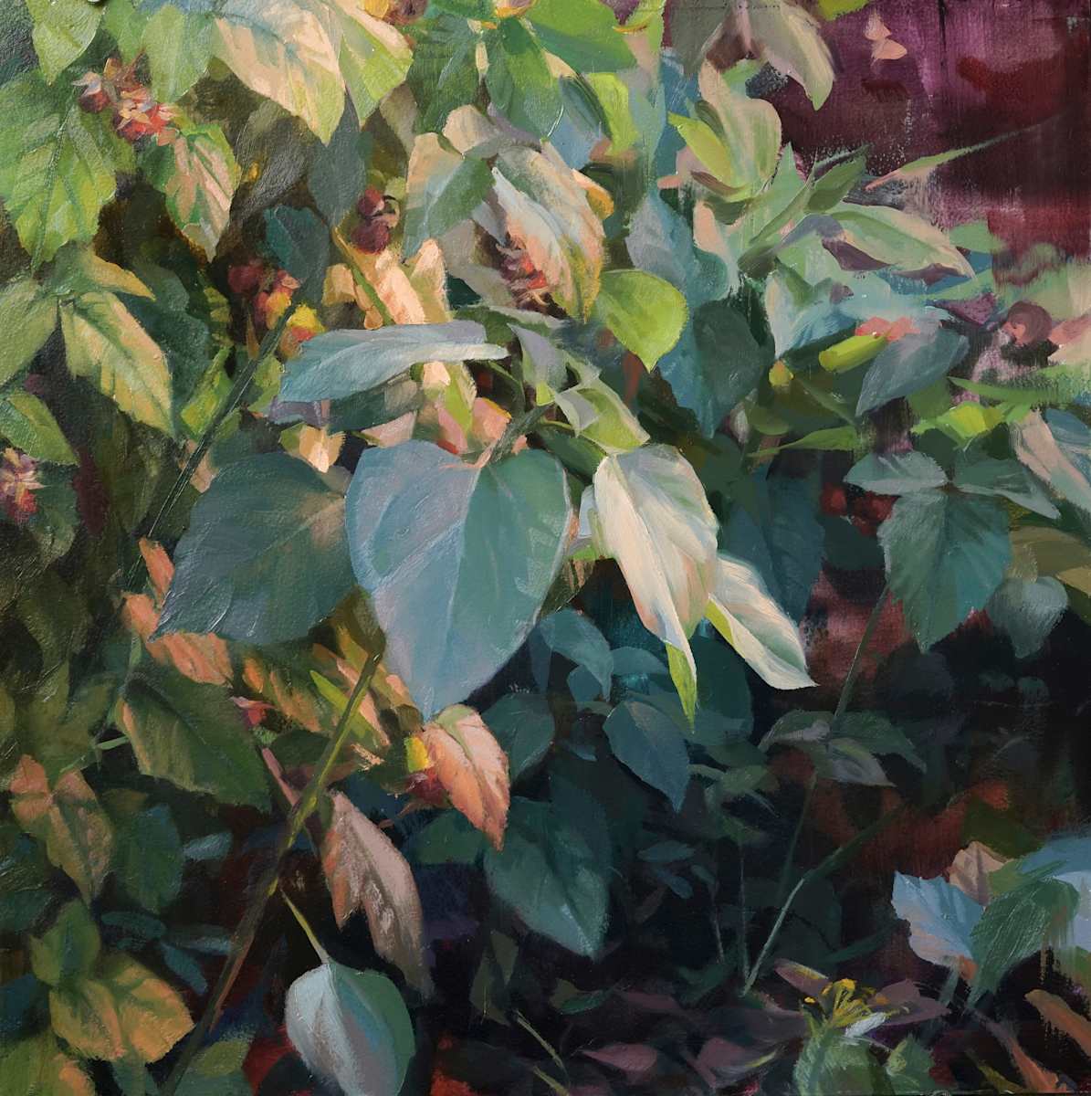 Bramble I, Image 1.