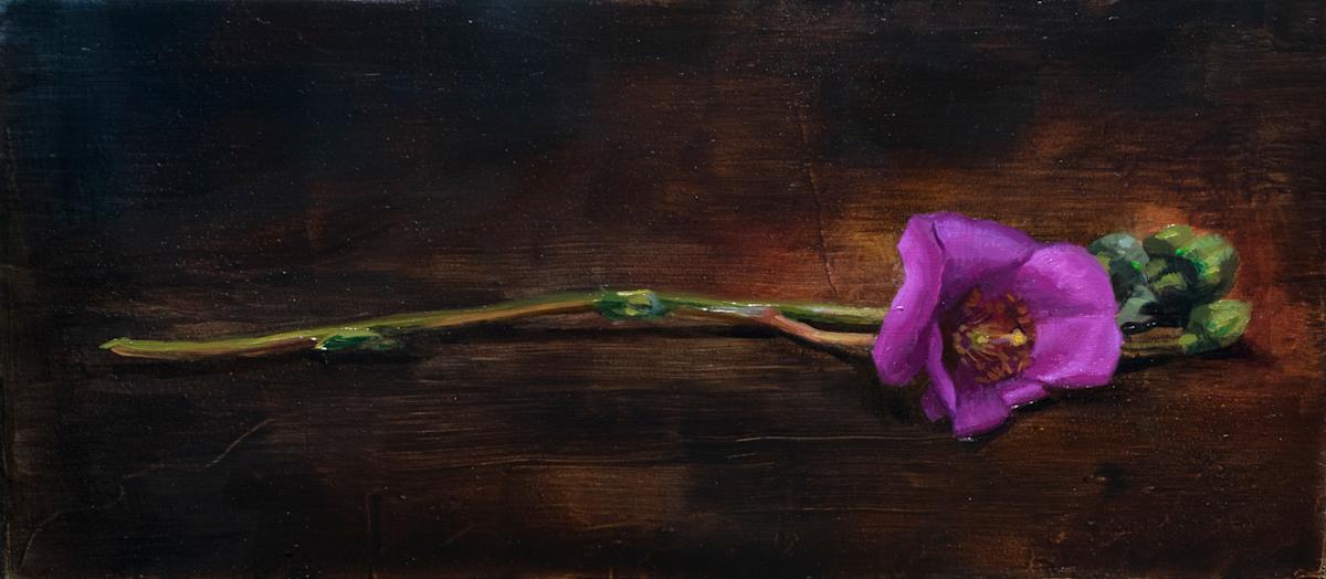 Gentian by Robin Cole, Image 1.