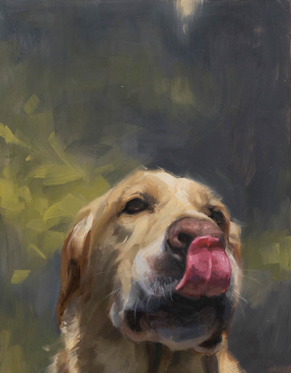 Sammy by Robin Cole, Image 1.