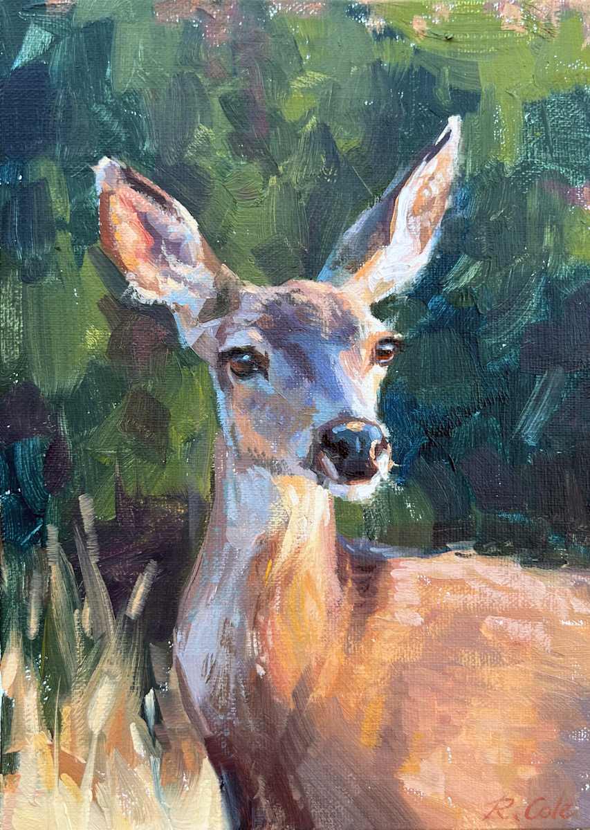 Doe by Robin Cole, Image 2.