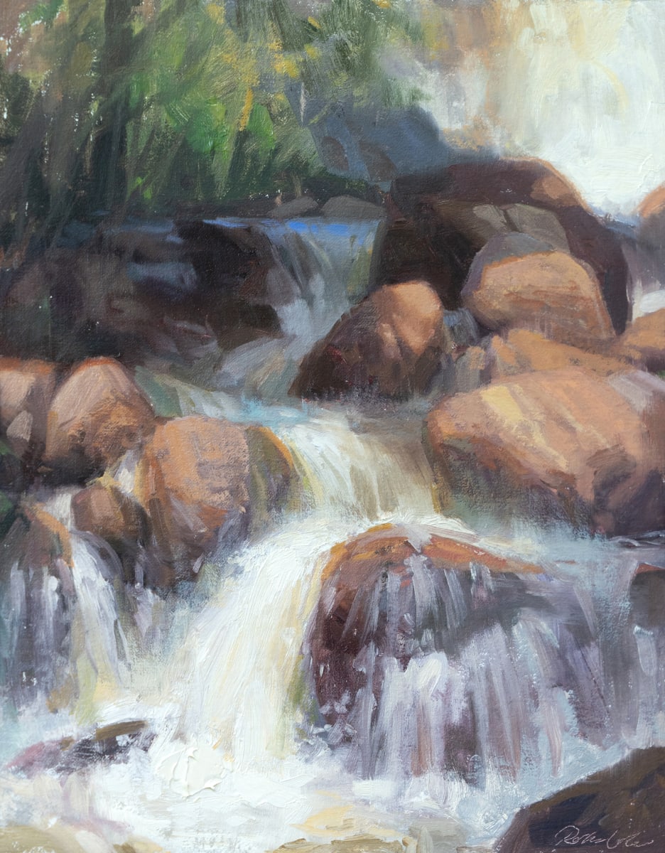 Eldorado Canyon Falls by Robin Cole 