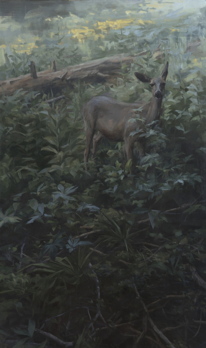 Flicker by Robin Cole 