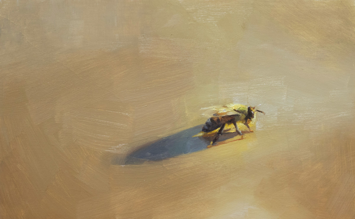 Golden Bee by Robin Cole 