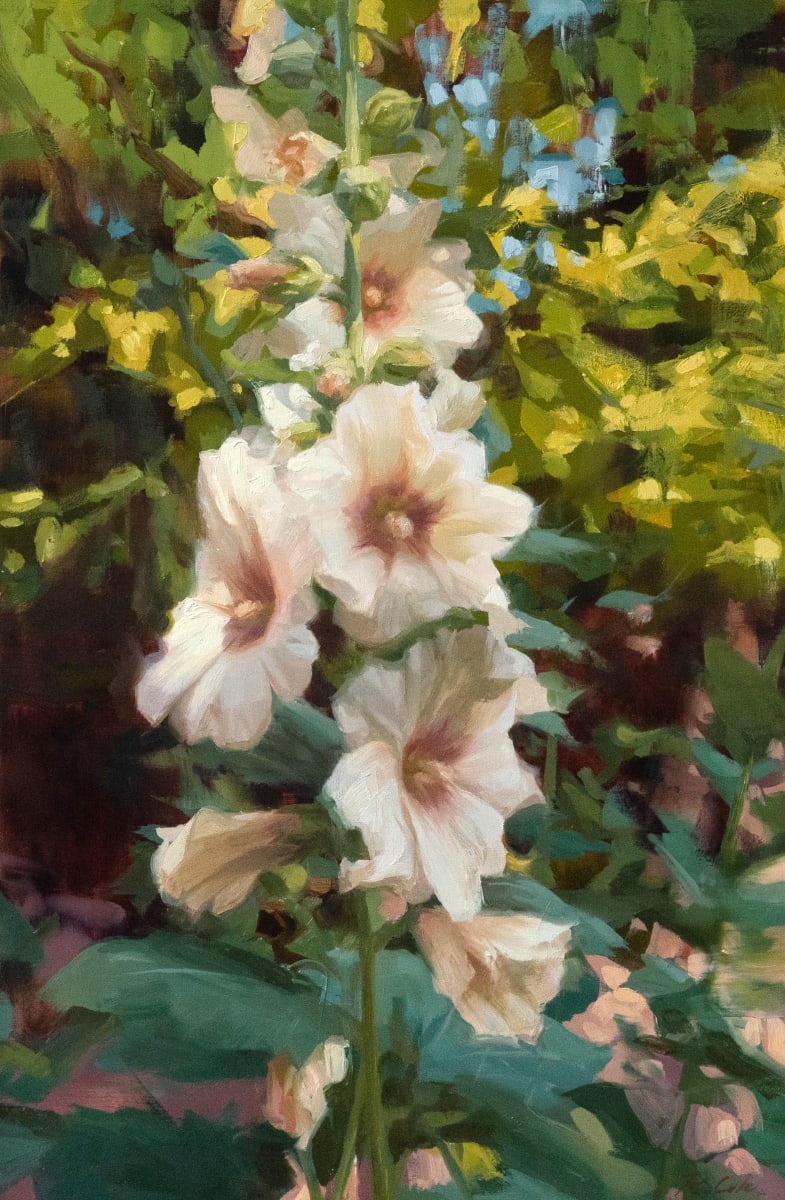 Hollyhocks by Robin Cole 