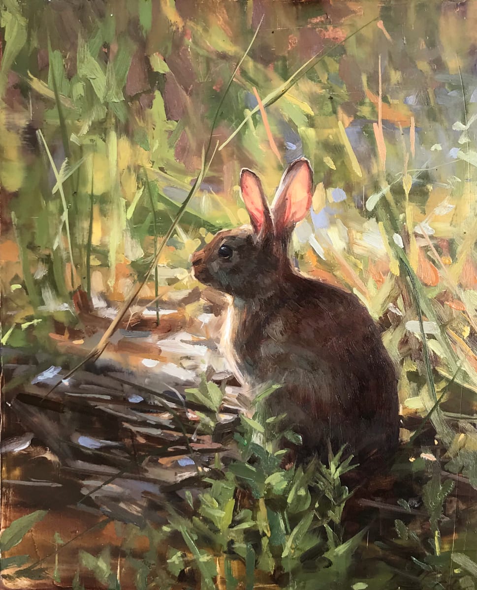 Rabbit by Robin Cole 
