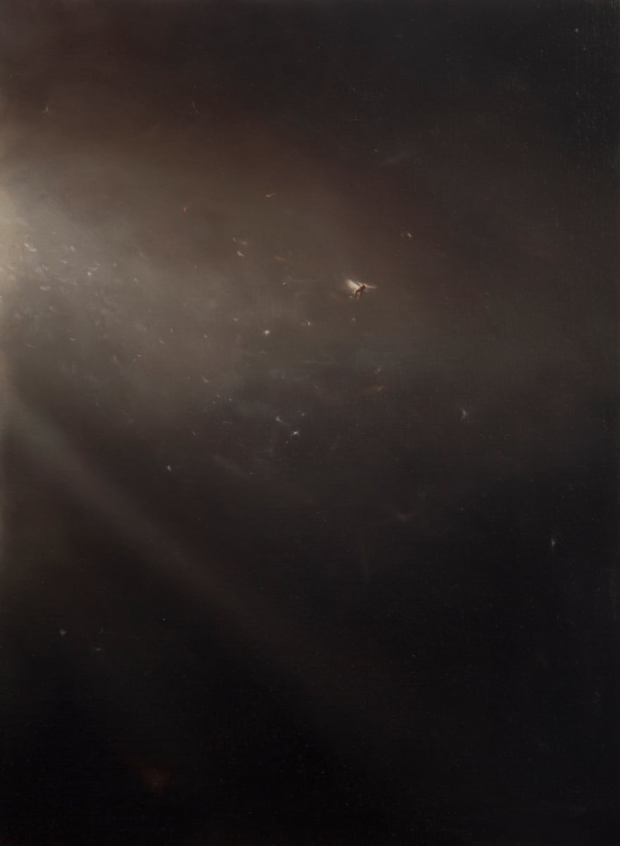 Lazarus by Robin Cole, Image 2.