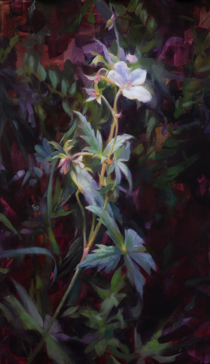 Like a Memory by Robin Cole 