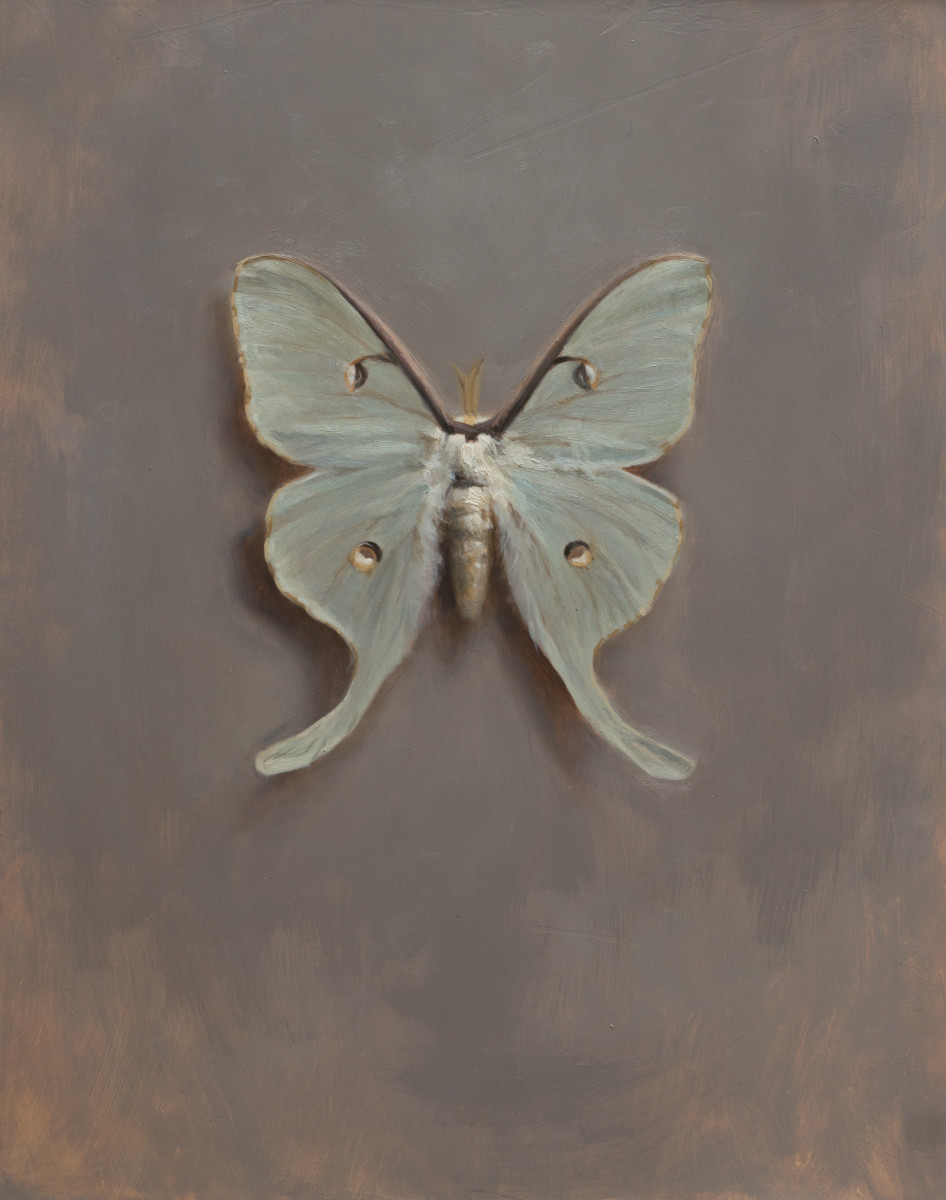 Luna II by Robin Cole 