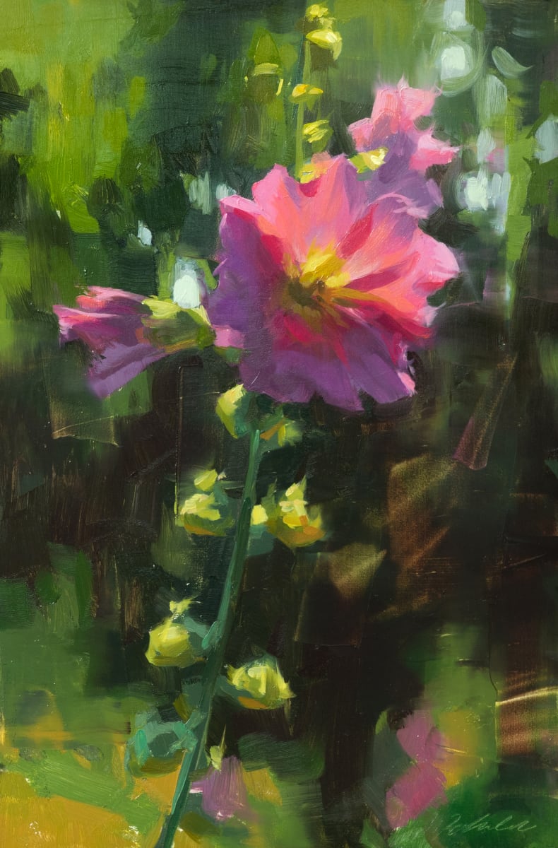 Morning Hollyhock II by Robin Cole 