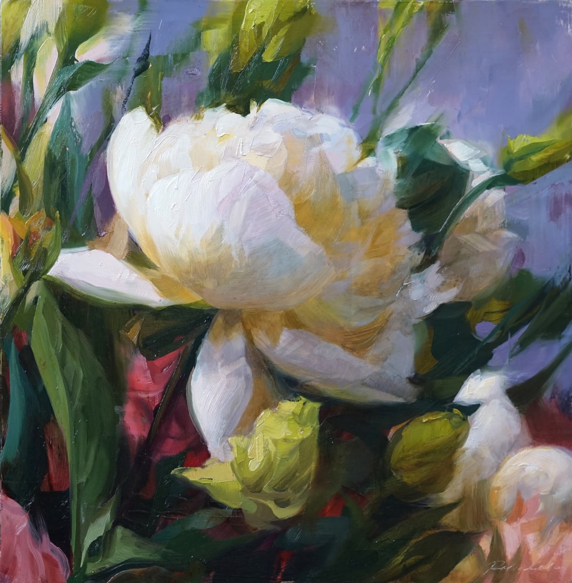 Peony III 