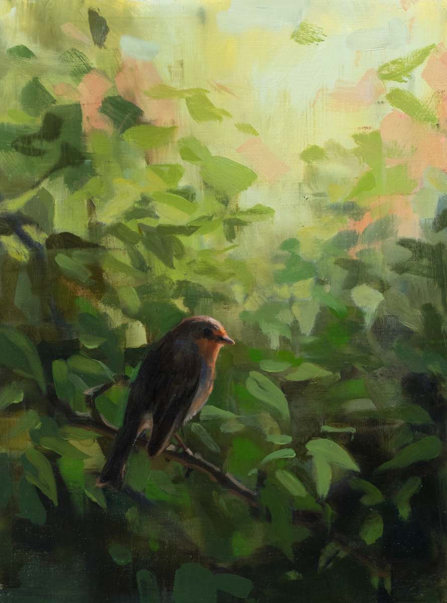 Robin by Robin Cole, Image 1.