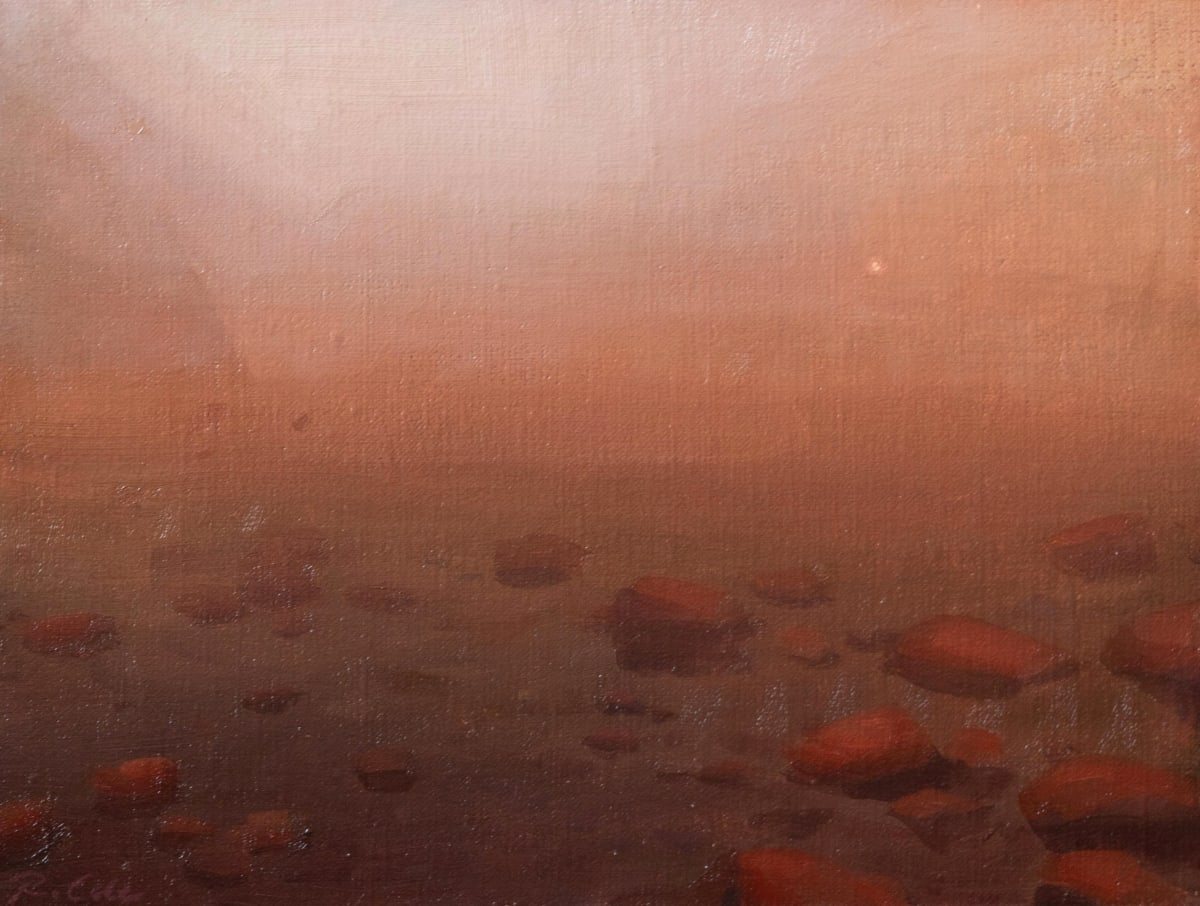 Study (Terra Incognita) by Robin Cole 