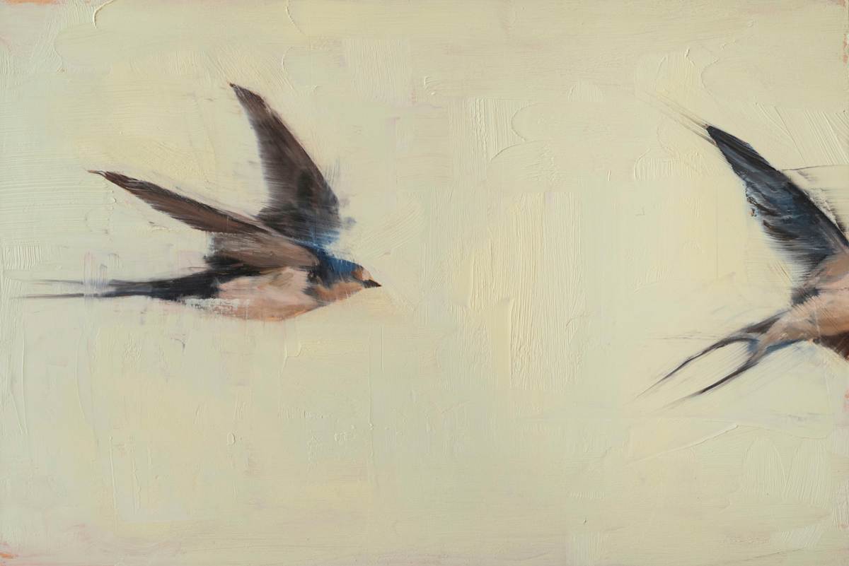 Swallows by Robin Cole, Image 2.