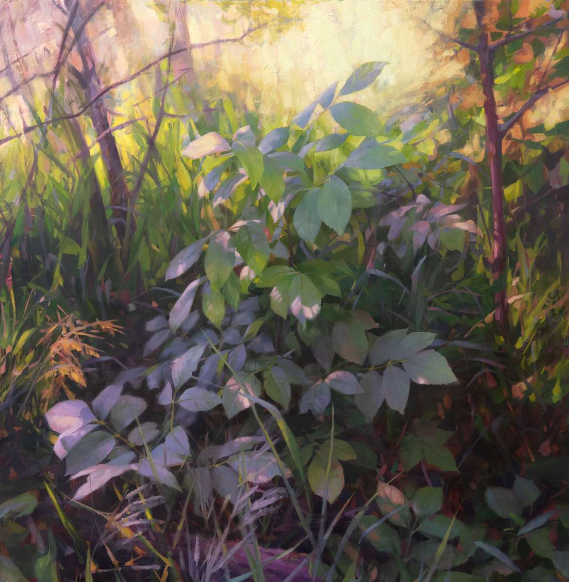 The Awakening by Robin Cole, Image 1.