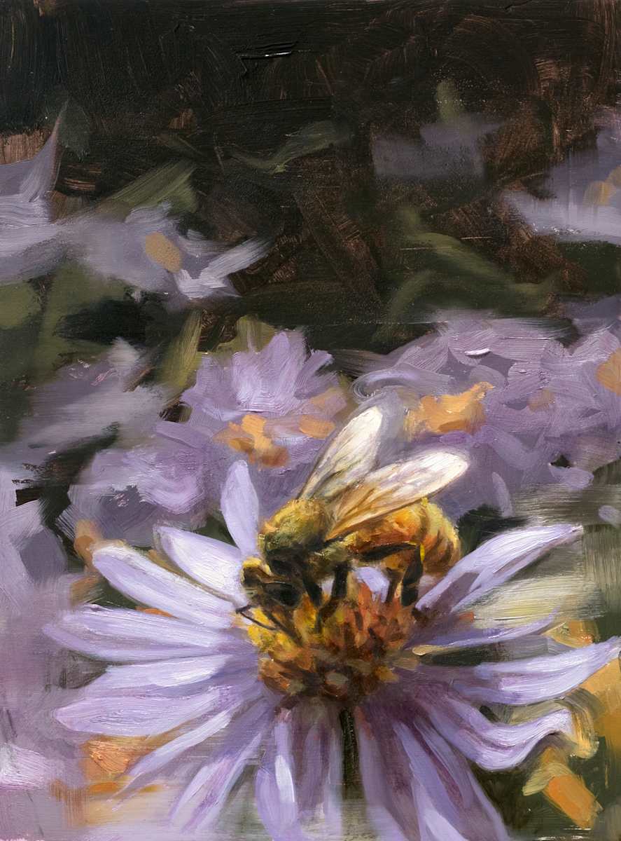 Visitor by Robin Cole, Image 2.