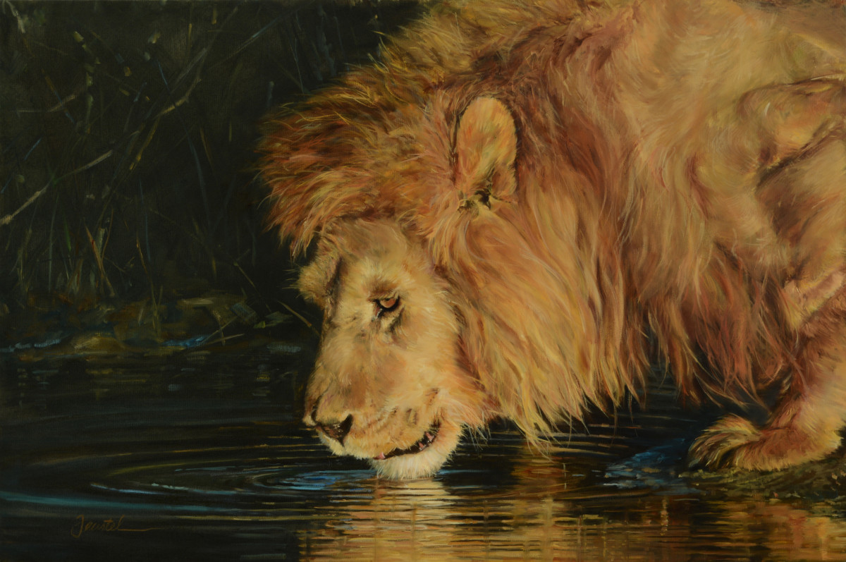 Reflections by Cynthia Feustel 