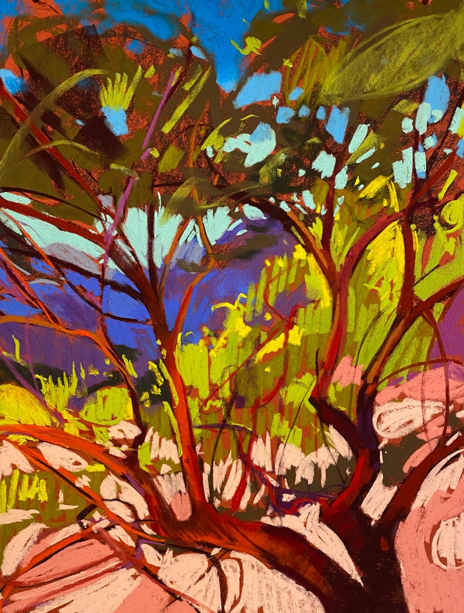 Arid Lace by Tara Will, Image 1.