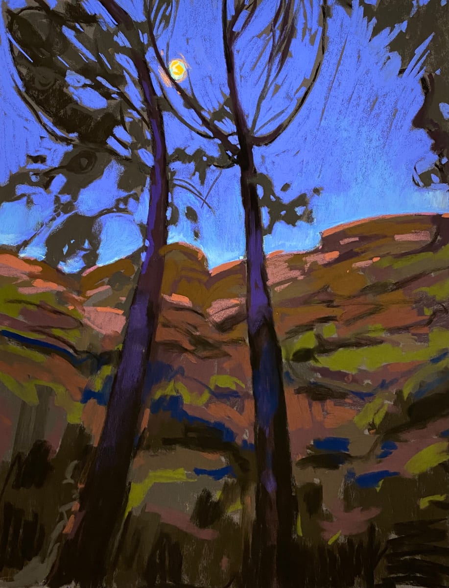 Sedona Night by Tara Will, Image 1.