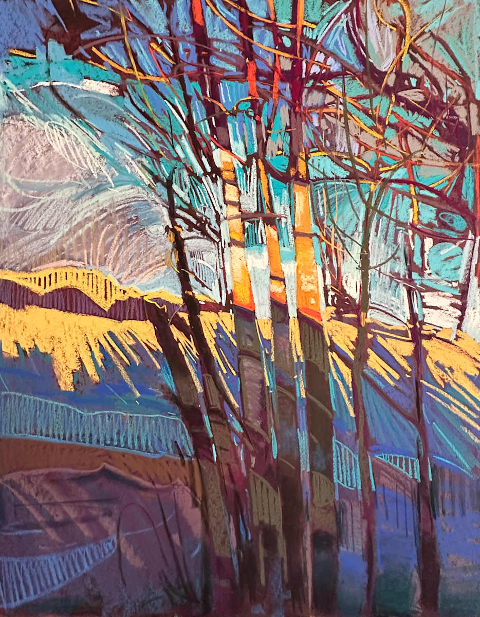 Bachman Valley by Tara Will, Image 1.