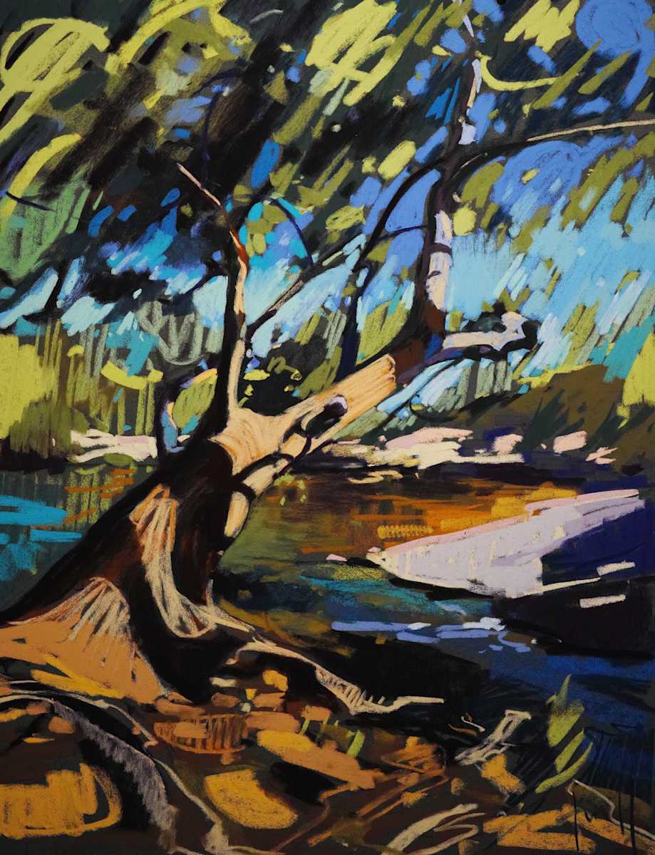Sedona Roots by Tara Will, Image 1.