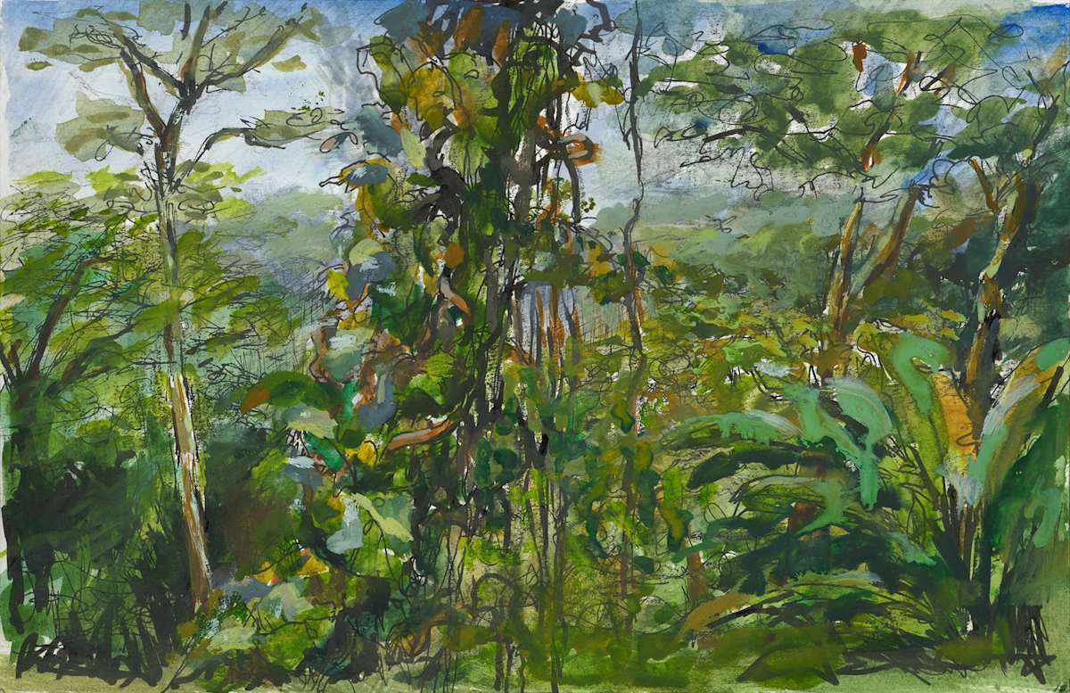 Symphony of the Jungle by Jessica Falcone  Image: ©Jessica Falcone, "Symphony of the Jungle", Watercolor & Pen, 5.5" X 8.5