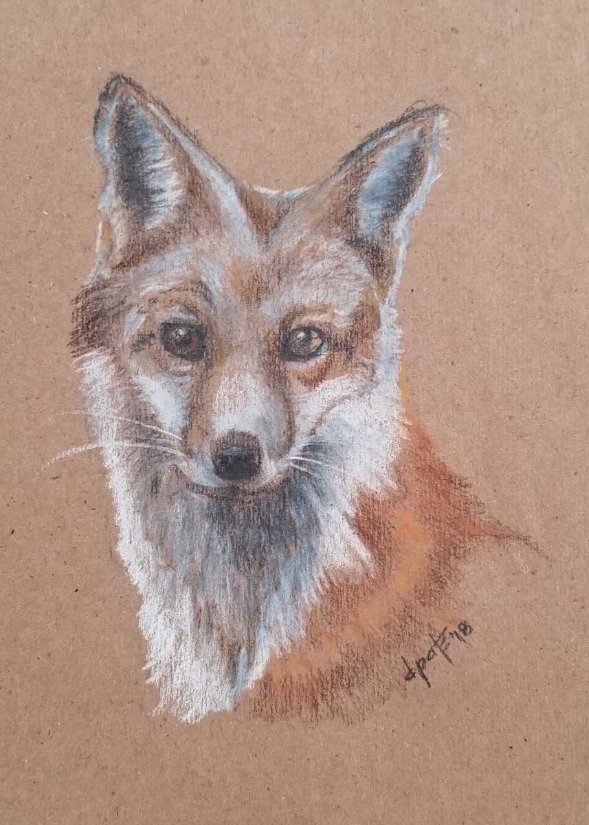 Red Fox by Donna Pate 
