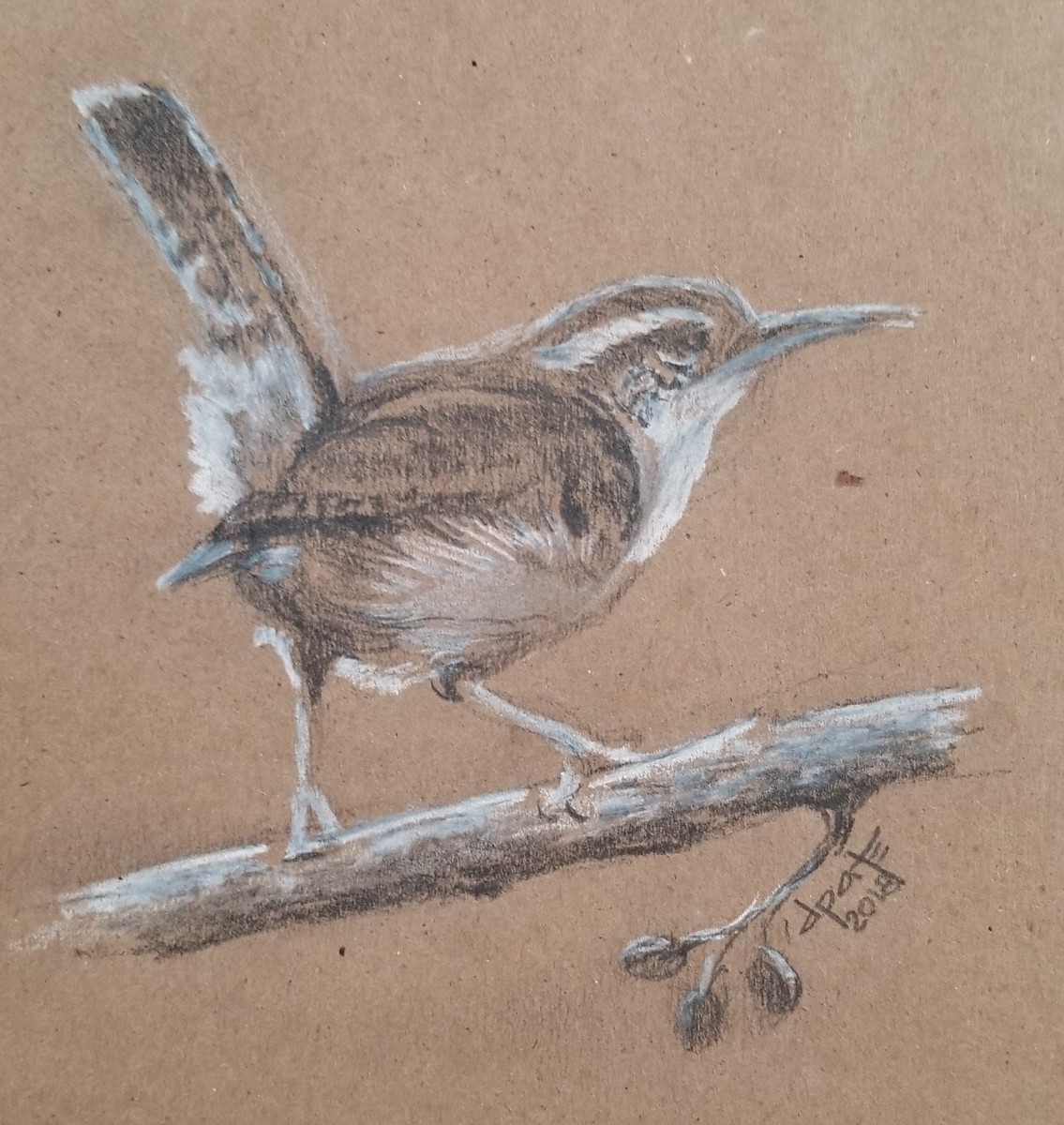 Wren by Donna Pate 