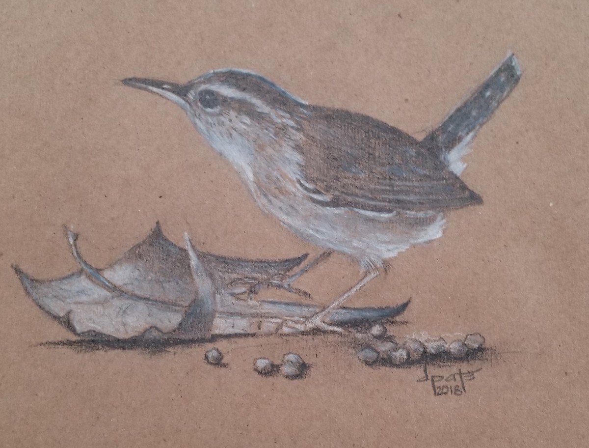 Wren 2 by Donna Pate 