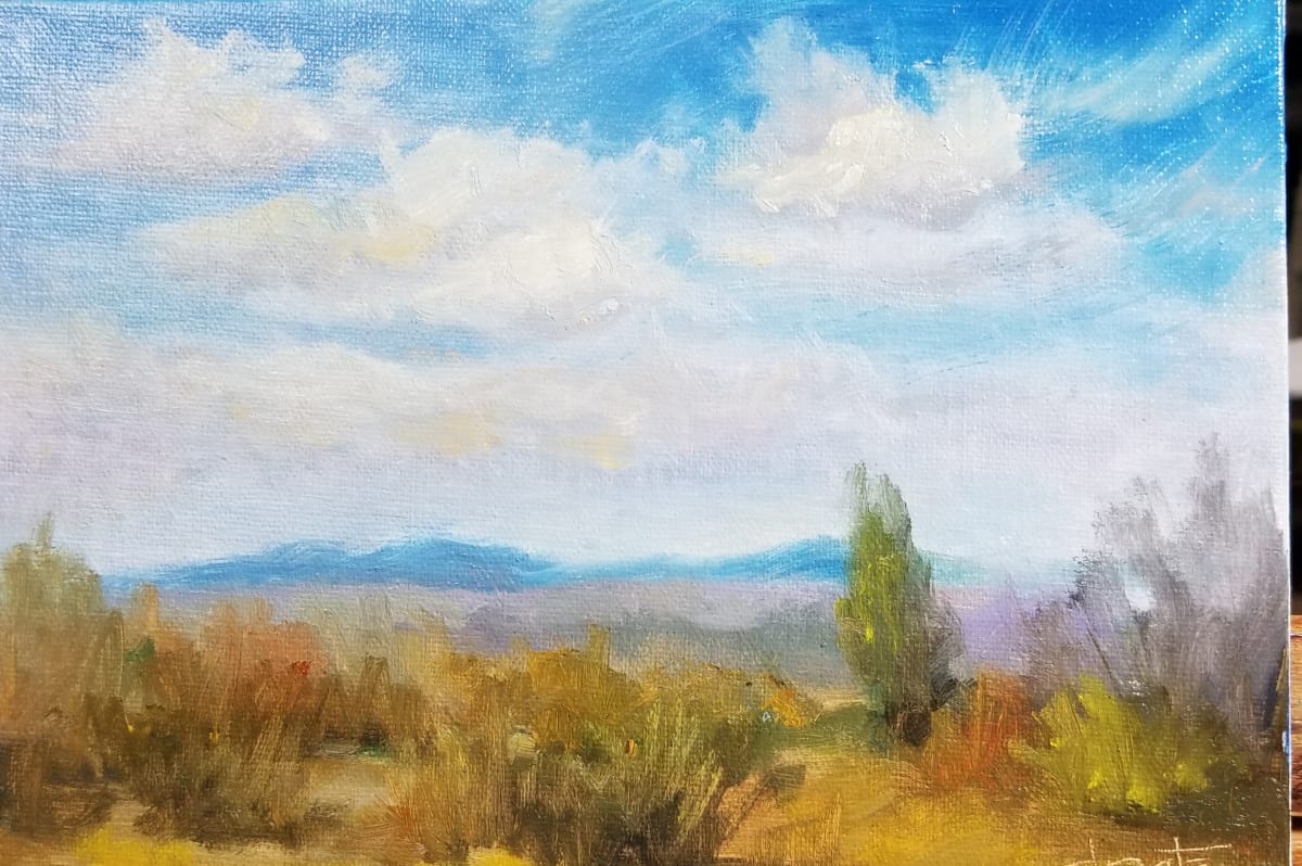 Windswept by Donna Pate 