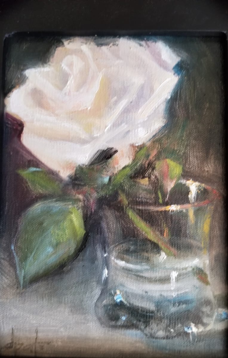 White Rose by Donna Pate 